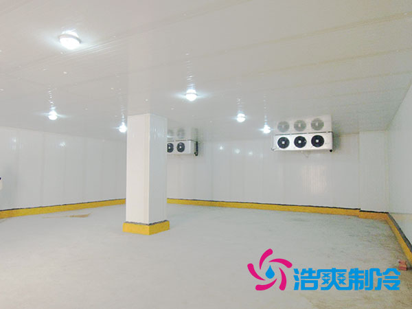 50噸果蔬氣調(diào)庫預(yù)算造價多少錢？-浩爽制冷