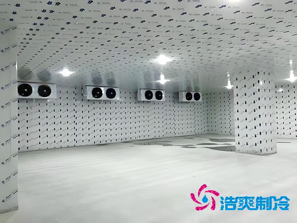 建一個生姜冷庫造價造價大概多少錢？-浩爽制冷