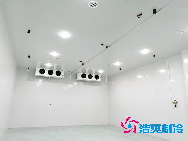 冷庫造價揭秘：300平方米到底要花多少錢？-浩爽制冷