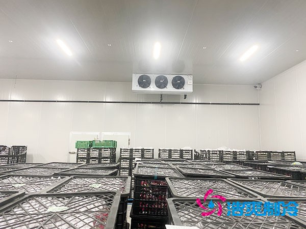 想知道保鮮冷庫設(shè)計(jì)安裝要花多少錢？-浩爽制冷
