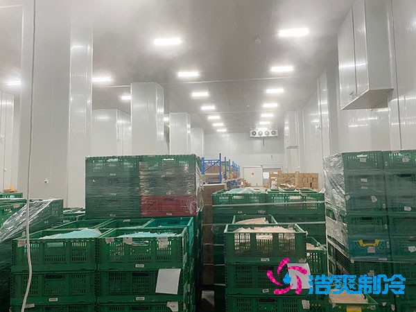 夏季蔬菜保鮮難？500噸冷庫建造價格揭秘！