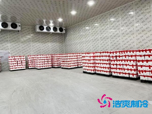 檳榔保鮮冷庫(kù)安裝造價(jià)費(fèi)用多少錢？-浩爽制冷